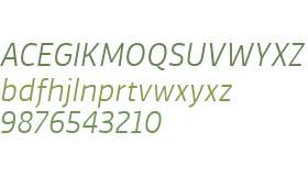 Vinkel W03 Light Italic