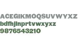 Community Gothic Black