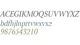 Array Thin Italic