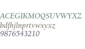 ITC Berkeley Oldstyle Std Italic