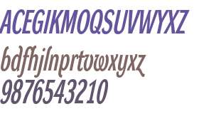 Dynamo Italic D X C