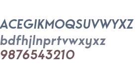 Bergen Sans Semi Bold Italic