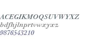 Didot eText W01 Bold Italic