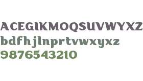 Aligarh Arabic FREE PERSONAL USE Black