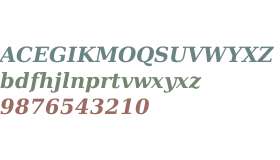 DejaVu Serif Bold Italic V1