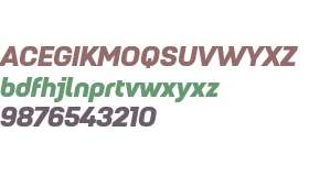 Petrov Sans Black Italic