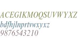 Times New Roman MT Std Condensed Italic