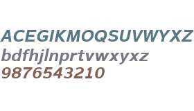 Magnum Sans W01 Bold Oblique V1
