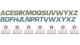 DIESEL ITALIC PERSONAL USE