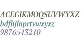 PT Serif W01 Narrow Demi Italic