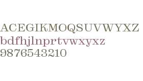 Reckham TEST No.2 Light