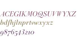 Telemaque FY W03 Medium Italic