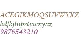 ITC Legacy Serif Std Medium Italic