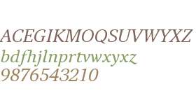 Narevik Italic W08 Regular