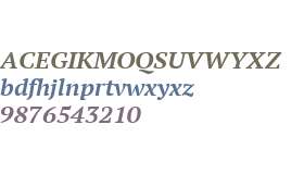 PT Serif W01 Extended Bd Italic