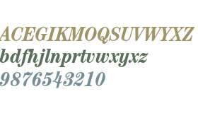 ITC Century Std Bold Condensed Italic