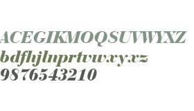 BauerBodni Blk BT Black Italic