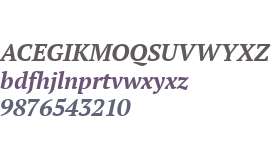 PT Serif Bold Italic V1