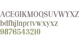 Silvex Editorial SemBd