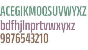 Anek Kannada Condensed Medium