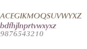 URW Classico W01 Medium Italic
