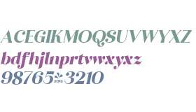 FSP DEMO - Ragazzi Black Italic