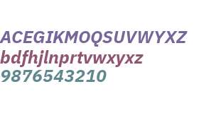 IBM Plex Sans Bold Italic