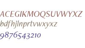 FreightNeo W03 Medium Italic