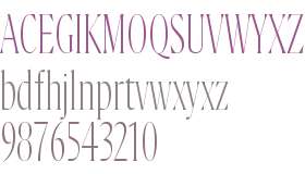 Flecha Bronzea Test L ExLight