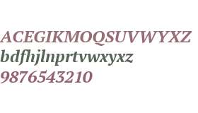 PT Serif Pro Bold Italic