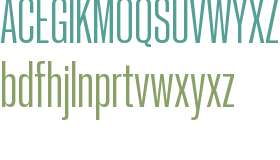 PP Neue Corp Condensed Medium