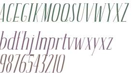 AMOUR Basic W04 Italic
