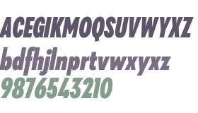 Galatea ExtraBold Condensed Italic