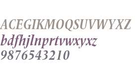 Frutiger Serif LT W04 Bd Cn It