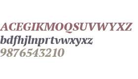 PT Serif W01 Extra Bold Italic