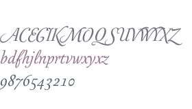 Australis Pro Swash W01 Italic