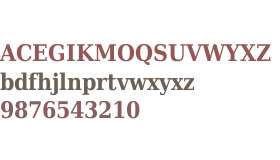 DejaVu Serif Condensed Bold V2