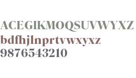 Parnaso Standard Trial Exbold