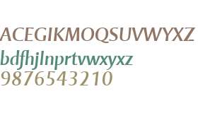 Mentor Sans W04 Italic