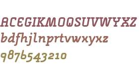 Alega Serif OT W03 Bold Italic