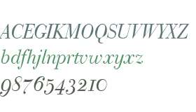 Bodoni Classic W01 Italic