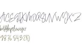 Signature In Card