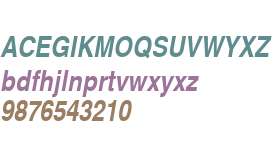 NimbusSanConL W06 Bold Italic