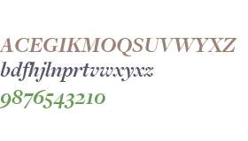 FreightDisp W03 Bold Italic
