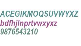 Arial Narrow MT W04 Bold Italic