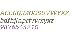 Xenois Slab W04 Medium Italic