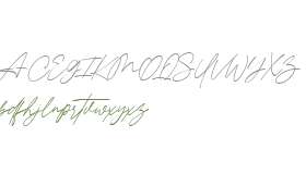 Cinthia Signature