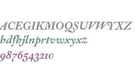 Fleischman BT W03 Bold Italic