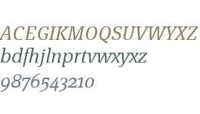 Page Serif OT W01 Light Italic