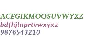 Diverda Serif W01 Bold Italic
